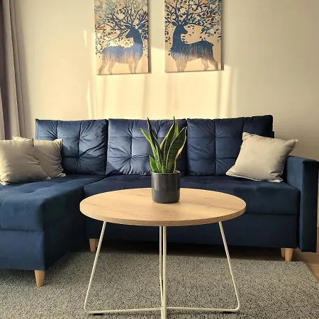 Korczaka 6 *