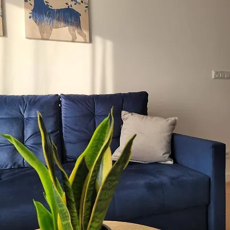 Korczaka 6 Apartment