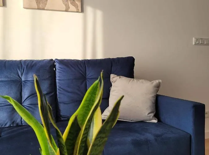 Korczaka 6 Apartment