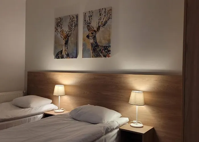 Korczaka 6 Apartment